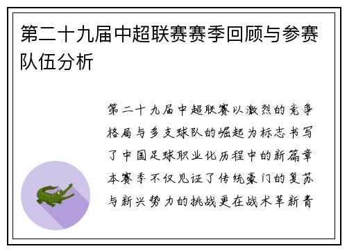 第二十九届中超联赛赛季回顾与参赛队伍分析